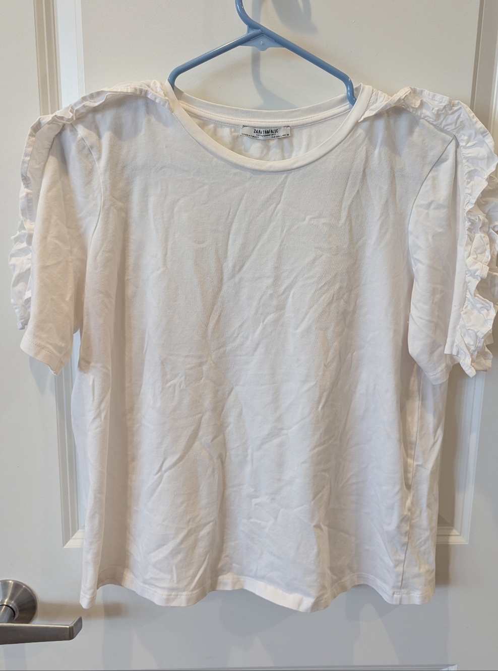 Zara 2017 Ruffle Sleeve Top (M/30)